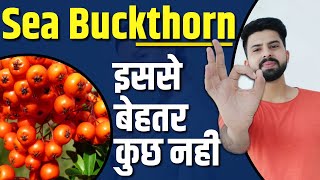 ये है असली संजीवनी  sea buckthorn  sea buckthorn benefits [upl. by Caresa53]