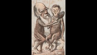 Is Darwinism a Secular Myth [upl. by Cornwall387]