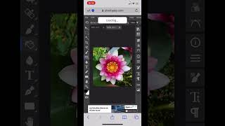 How to Remove a Background in Photopea 2023 on iPhone Free [upl. by Htenywg]