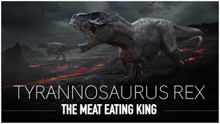 Tyrannosaurus Rex The Scariest amp Most Feared Dinosaur to Walk The Earth  Dinosaur Documentary [upl. by Nomi807]