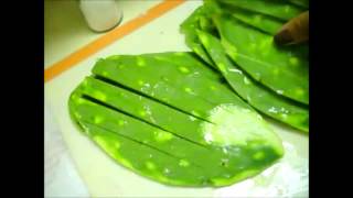 BISTEC ENCEBOLLADO CON NOPAL ASADO [upl. by Nasya]