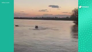 Terrifying moment as an angry hippo is seen chasing tourists on a speedboat [upl. by Cheung]