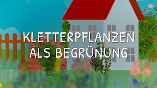 Kletterpflanzen als Begrünung [upl. by Eugen]