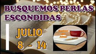 Busquemos perlas escondidas Semana Julio 8  14 [upl. by Assil]