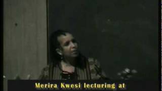 Merira Kwesi  Excerpts from Ethiopia From the Ancient Kushites to the Black Lions Pt 2 [upl. by Braasch966]