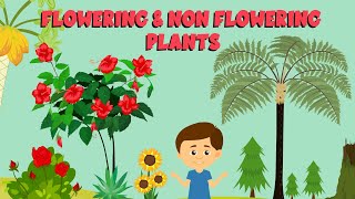 Flowering and non flowering plants  Plant life cycle  Video for Kids [upl. by Alesi]