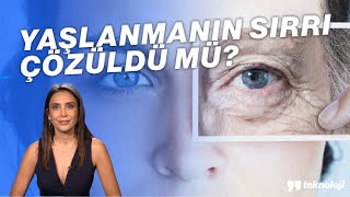 YAŞLANMANIN SIRRI ÇÖZÜLDÜ MÜ [upl. by Allin]