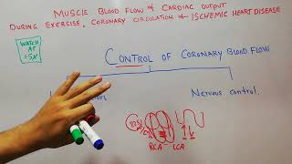 CVS 196  Control of coronary blood flow  Role of adenosine  oxygen  Nerous control  drchamkani [upl. by Aneras]