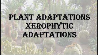 Plant Adaptations  Xerophytic Adaptations HPU BSc 1st year [upl. by Nywled873]