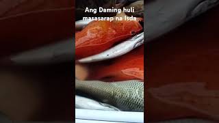 Masasarap na Isda Ang Nahuli fishing fishing fishingvideo fish fish viralvideo [upl. by Ahsilam]