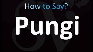 How to Pronounce Pungi CORRECTLY [upl. by Granny]