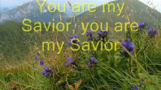 YOU ARE MY SAVIOR AND HEALER Praise and Worship Songs with Lyrics  sing Jiri Zmozek CZ [upl. by Nilyad541]