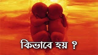 কিভাবে একটি শিশু মায়ের গর্ভে বড় হয়  How a Baby is Formed and How Twins are Formed [upl. by Loomis]