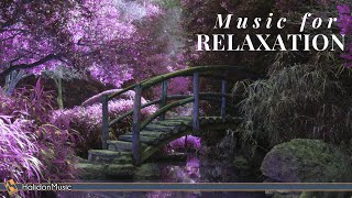 Positive Thinking amp Brain Power  Music for Relaxation and Concentration [upl. by Aerdnwahs]