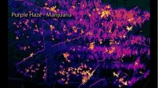 Binaural Beats  Marijuana High THC Beat Purple Haze Digital Drug [upl. by Eanal]