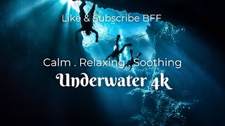 Calm amp Relaxing Underwater Scenery in 4K – Soothing Ocean Views  BFF Big Fat Feeling [upl. by Ledniahs]