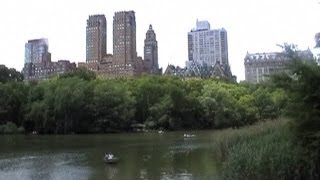 Shark in the pond  Central Park New York City [upl. by Llevaj872]