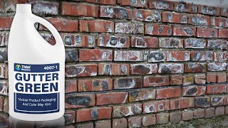 Brick Efflorescence Removal  What To Buy To Remove Efflorescence [upl. by Ikir]