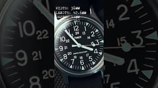 Timex Camper 36 [upl. by Lav]