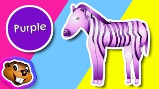 What Color is it Clip  Preschool Learning Video [upl. by Gnoy273]