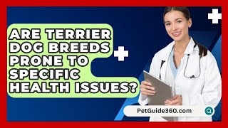 Are Terrier Dog Breeds Prone to Specific Health Issues  PetGuide360com [upl. by Nicolai]