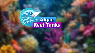 Algae and Reef Tanks  Seriously Salty Science Saltwater Reef Chat [upl. by Ameer256]