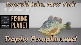 Fishing Planet Trophy Pumpkinseed Emerald Lake New York [upl. by Goulet]