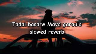 Tadai basera Maya garaula slowed reverb nepali leriys full song [upl. by Sheilah]