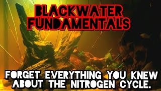 BLACKWATER How to Safely Set Up Low Ph High Tannin Acidic Aquariums The World of Archaea amp Fungi [upl. by Kcirdahs]