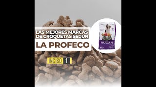 Estas son las mejores marcas de croquetas según la PROFECO [upl. by Alac]