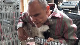 Flea  Bass Modular Synthesizer And Pure Emotion [upl. by Cindy832]