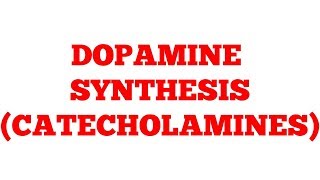 Catecholamines  Dopamine  Biochemistry [upl. by Herbst626]