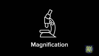 How to calculate magnification [upl. by Heer]