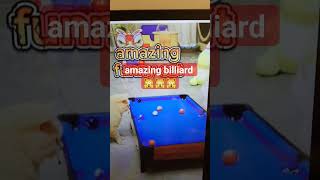 amazing billiard tricks 👏 😍 youtubeshorts funny shortvideo shorts billiards cat tricks asmr [upl. by Ahsitnauq]