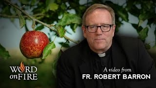 Bishop Barron on Original Sin [upl. by Antoni838]