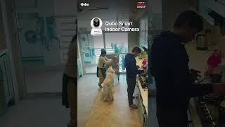 Missing your Dog at work  GetSmartGetQubo  Qubo Video Doorbell  Trust of Hero Group [upl. by Aillil24]