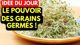 Les Secrets des Grains Germés  Révélation sur une Nutrition Exponentielle [upl. by Miun]