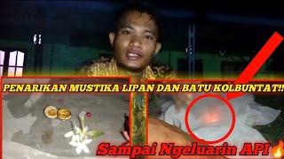 PENARIKAN MUSTIKA LIPAN DAN POSIL KEONG KOLBUNTAT [upl. by Inilahs]