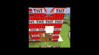 This TNT destorya the horse house👀🧨 minecraft shorts [upl. by Nacim806]