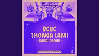 Thonga Lami Gaudi Remix [upl. by Htiduy]