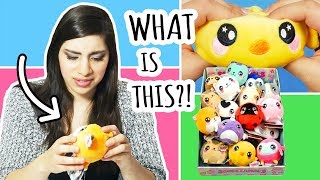 Unboxing a Whole Case of SQUEEZAMALS  Squishies or Plushies [upl. by Ellmyer]