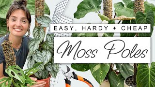 DIY Moss Pole for HUGE Growth 🌿 How To Make an Easy  Effective Moss Pole For Houseplants [upl. by Oflunra]