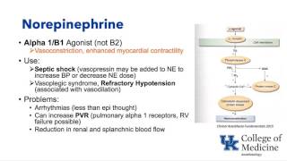 Basic Cardiovascular Pharmacology Schell [upl. by Dafna]