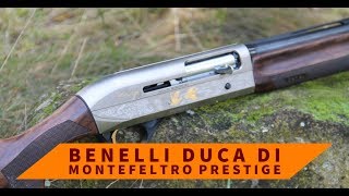 Semiautomatico Benelli Duca di Montefeltro Prestige Test a caccia [upl. by Anadal]