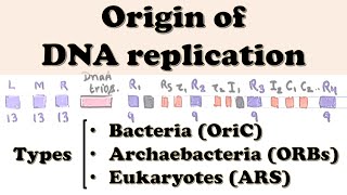 DNA Replication  1 Meselson Stahl Experiment ORIGIN REPLICON UNIT 3  CSIR NET Life Science 2020 [upl. by Belmonte181]