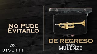 Orquesta Mulenze  No Pude Evitarlo  Salsa Romántica Con Letra [upl. by Kyte]