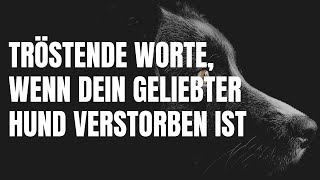 Tröstende Worte wenn Dein Hund verstorben ist 29 Trauersprüche die Balsam für die Seele sind [upl. by Nedry]