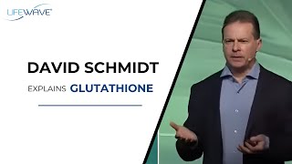 David Schmidt Explains Glutathione [upl. by Anak182]