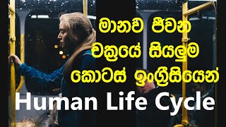 Stages Of The Human Life Cycle With Sinhala Meanings [upl. by O'Gowan]