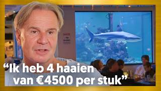 MILJONAIR heeft AQUARIUM van €350000  Waar doen ze het van [upl. by Ahsemed806]